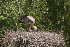 Small_DSC_8396.jpg Small_DSC_8396.jpg