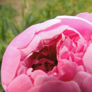 comp_DSCI1340.jpg comp_DSCI1340.jpg