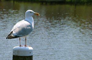 IMG_7363a.jpg IMG_7363a.jpg