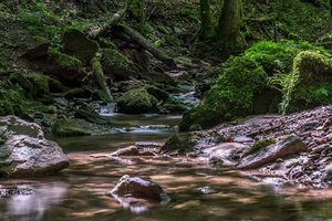 comp_2015-06-12_Hörschbachschlucht-9.jpg comp_2015-06-12_Hörschbachschlucht-9.jpg