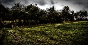 DSC_0092 kopie-Bearbeitet-Bearbeitet.jpg