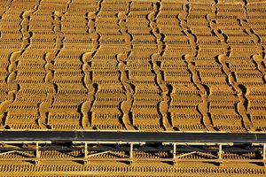 BF_SDIM7869 Kopie.jpg