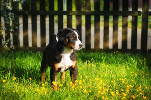 für Fotoforum (48 von 3).jpg