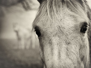 für Fotoforum (49 von 3).jpg