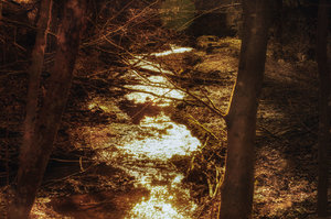 für Fotoforum (50 von 3).jpg