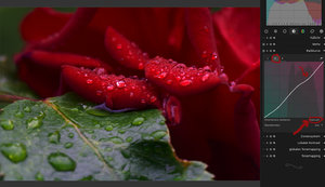 Rot-uebersteuert1.jpg Rot-uebersteuert1.jpg