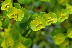 JPG_2868 Kopie_Bildgröße ändern.jpg