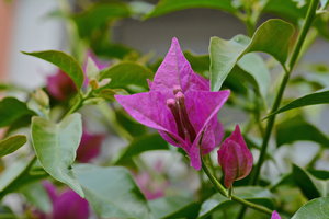 JPG_2859_Bildgröße ändern.JPG