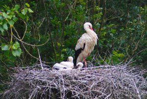 Small_DSC_9632.jpg Small_DSC_9632.jpg