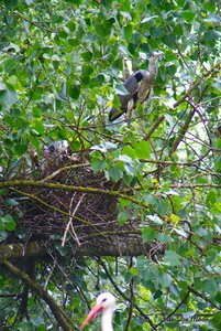 Small_DSC_9648.jpg Small_DSC_9648.jpg