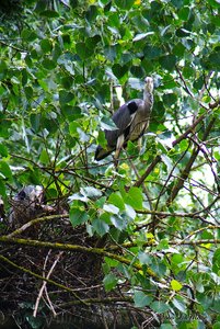 Small_DSC_9647.jpg Small_DSC_9647.jpg