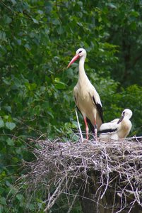 Small_DSC_9678.jpg Small_DSC_9678.jpg