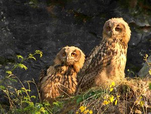 comp_DMC-GX7 - P1670853 (2).RW21.jpg comp_DMC-GX7 - P1670853 (2).RW21.jpg