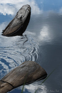 SDIM0557.jpg SDIM0557.jpg