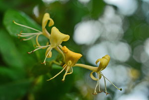 JPG_3307_Bildgröße ändern.JPG