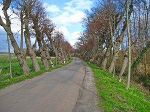 006_255464_Bildgröße ändern.jpg