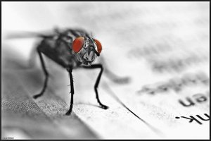 Bild - 4.jpg Bild - 4.jpg