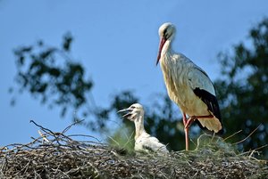 3comp_DSC_8062.jpg 3comp_DSC_8062.jpg