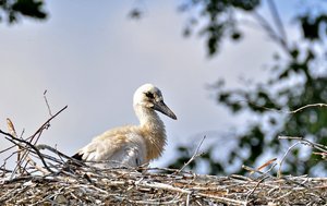 4comp_DSC_8420.jpg 4comp_DSC_8420.jpg