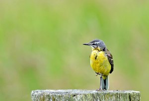 6comp_DSC_8256d.jpg 6comp_DSC_8256d.jpg