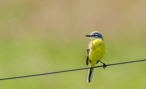 5comp_DSC_7941.jpg 5comp_DSC_7941.jpg