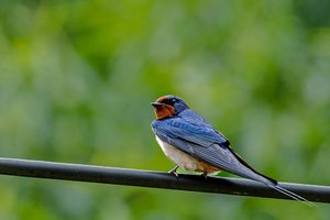 7comp_DSC_8275b.jpg 7comp_DSC_8275b.jpg