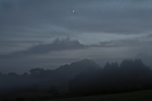 IMG_7265_1.jpg IMG_7265_1.jpg