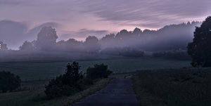 IMG_7264_1.jpg IMG_7264_1.jpg