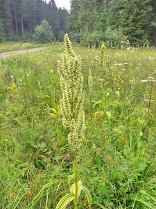 P7280340_Bildgröße ändern.JPG