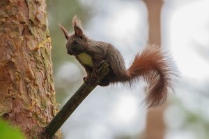 IMG_9669.jpg IMG_9669.jpg