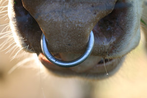 IMG_8137a.jpg IMG_8137a.jpg