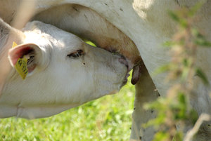 IMG_5114a.jpg IMG_5114a.jpg