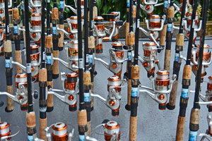 Wildsteig  2015   163_Bildgröße ändern.JPG