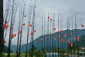 Wildsteig  2015   165_Bildgröße ändern.JPG