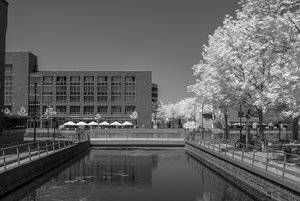 comp__SDI3569.jpg comp__SDI3569.jpg