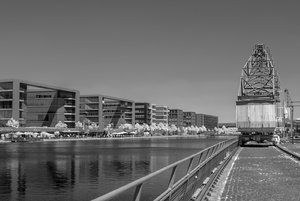 comp__SDI3576.jpg comp__SDI3576.jpg