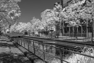 comp__SDI3560.jpg comp__SDI3560.jpg