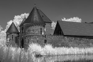 comp__SDI3591.jpg comp__SDI3591.jpg