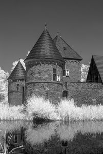 comp__SDI3593.jpg comp__SDI3593.jpg