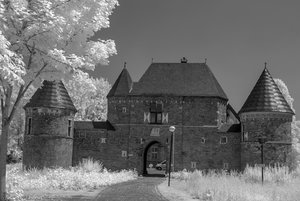 comp__SDI3596.jpg comp__SDI3596.jpg