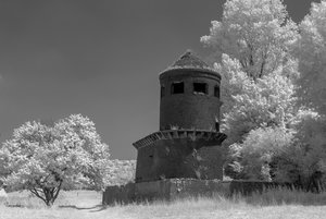 comp__SDI3605.jpg comp__SDI3605.jpg