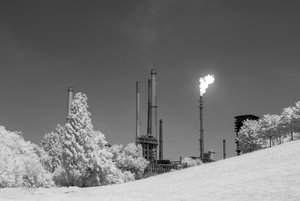 comp__SDI3607.jpg comp__SDI3607.jpg