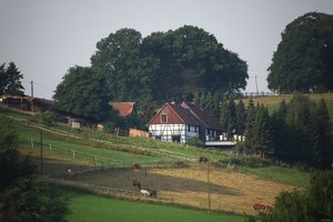 500k_IMG_6737_3.jpg 500k_IMG_6737_3.jpg