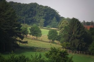 500k_IMG_6745_2.jpg 500k_IMG_6745_2.jpg