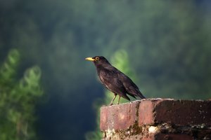 500k_IMG_6752_2.jpg 500k_IMG_6752_2.jpg