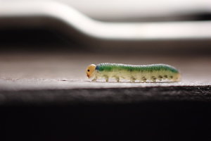 bf_0017.jpg bf_0017.jpg