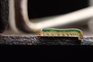 bf_0018.jpg bf_0018.jpg