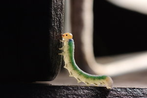 bf_0021.jpg bf_0021.jpg