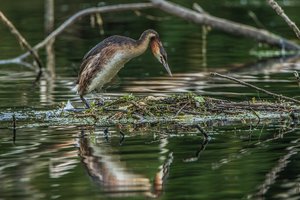 IMG_8212.jpg IMG_8212.jpg