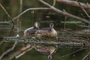 IMG_8260.jpg IMG_8260.jpg